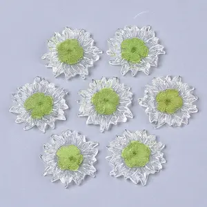 Transparent Clear Epoxy Resin Cabochons