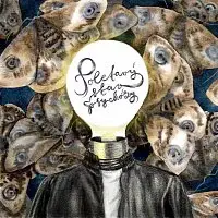 Adam Kořán – Poletavý stav psychózy