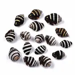 Natural Spiral Shell Beads