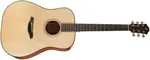 Furch Green D-SM CNR Active