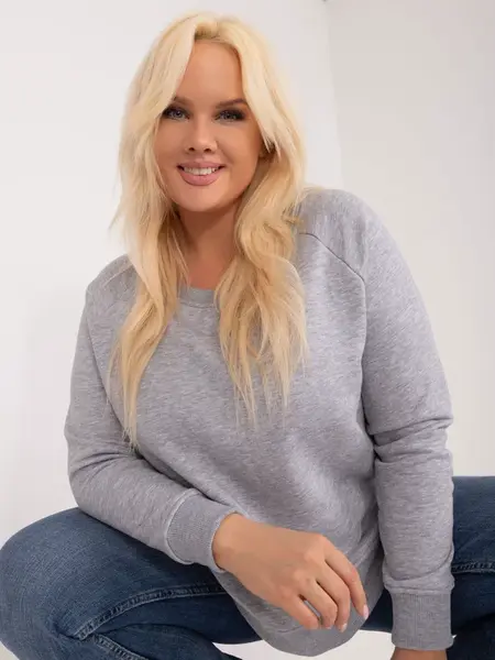 Sweatshirt-RV-BL-6326.02X-gray