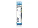 Mercurius solubilis 9CH granule 4g