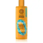 Natura Siberica Oblepikha Siberica regenerační kondicionér pro suché a poškozené vlasy 400 ml