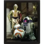 Pyramid International 3D obraz Star Wars Droids