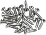 Fender Control Plate Mounting Screws Chrome