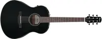 Ibanez AAM100E Black