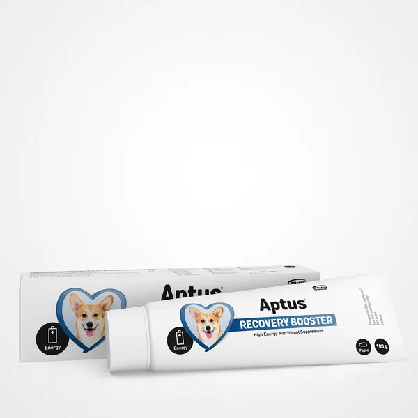 Aptus Recobooster pasta pre psov 100 g