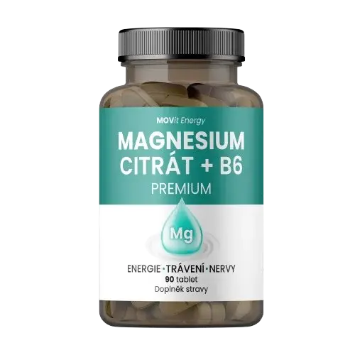 MOVIT ENERGY Magnesium Citrát 100 mg + B6 90 tablet