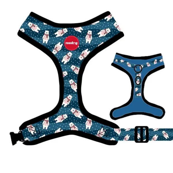 Reedog BEAR | Kšíry pro psa - S | P51905