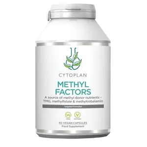 CYTOPLAN METHYL FAKTORY - B1 + Betain + B2 + B6 + Kyselina listová (L-Methylfolát) + Vitamín B12 a Zinek 60 kapslí