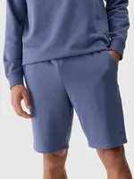 Men's Shorts 4F