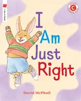 I Am Just Right - David McPhail