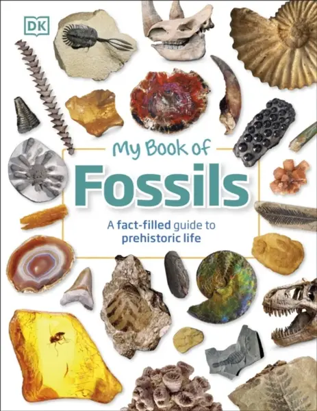My Book of Fossils - Dean R. Lomax, DK