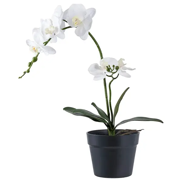 Umělá rostlina v květináči House Nordic Orchid zelená barva