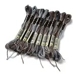 10 Skeins 6-Ply Polyester Embroidery Floss