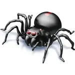 HM Studio Pavúk na slanú vodu