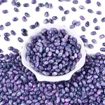 Glass Seed Beads