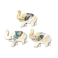 Natural Freshwater Shell & Paua Shell & White Shell Cabochons