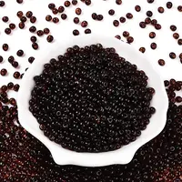 3/0 Baking Paint Glass Fringe Seed Beads