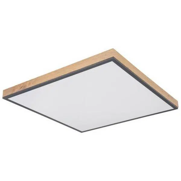 Globo LED PANEL, 59/59/6,5 cm
