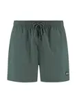 Shiwi Plavecké šortky 'Nate'  tmavozelená