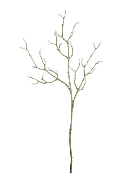 Umělá větvička House Doctor HDMagnolia 40 x 95 cm