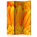 artgeist OBOUSTRANNÝ PARAVÁN, 135/172/3 cm