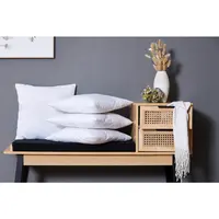 Boxxx VÝPLŇ POLŠTÁŘE 40/40 cm
