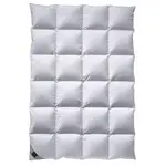 Billerbeck ZIMNÍ PŘIKRÝVKA, prachové peří