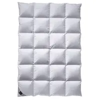 Billerbeck ZIMNÍ PŘIKRÝVKA, prachové peří