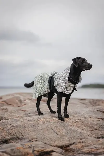 Pláštěnka pro psa PAIKKA Raincoat 2.0 48 x 38 x 0,9 cm