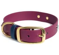 Reedog obojek bordó-námořnická modř Biothane | Obojek pro psy - M/L