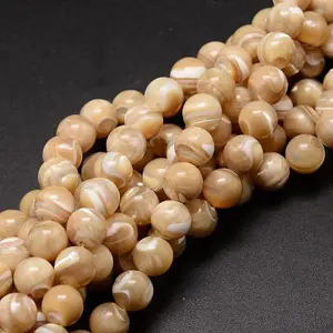 Natural Sea Shell Beads Strands