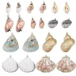 20Pcs 10 Styles Electroplated Mixed Shell Pendants