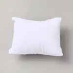 Velvet Mini Pillow
