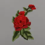 Polyester Iron on/Sew On Patches