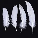 Goose Feather Costume Accessories