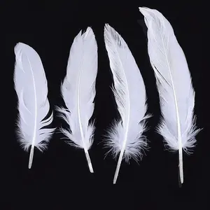 Goose Feather Costume Accessories