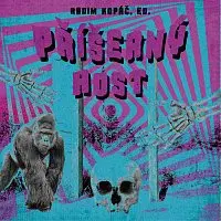 Kajetán Písařovic – Kopáč: Příšerný host