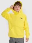Boys' sweatshirt 4F