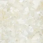 Dlažba Pastorelli Levante pure 120x120 cm mat P013661