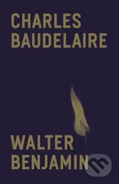 Charles Baudelaire (A Lyric Poet in the Era of High Capitalism) - kniha z kategorie Literární věda