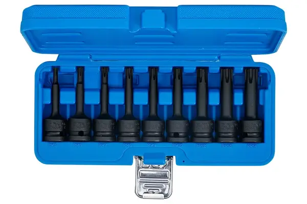 BGS technic Hlavice 1/2" zástrčné RIBE M5-M14 CrMo - BGS 5483