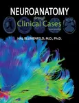 Neuroanatomy through Clinical Cases - Hal  Blumenfeld