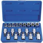 Sada hlavic Torx a Torx-E  1/2", 19ks- MAGG 340019
