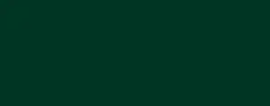 Porcelaine 150 45 ml - 19 Emerald