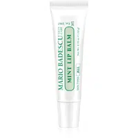 Mario Badescu Mint Lip Balm ultra výživný balzám na rty 10 g