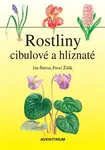 Rostliny cibulové a hlíznaté