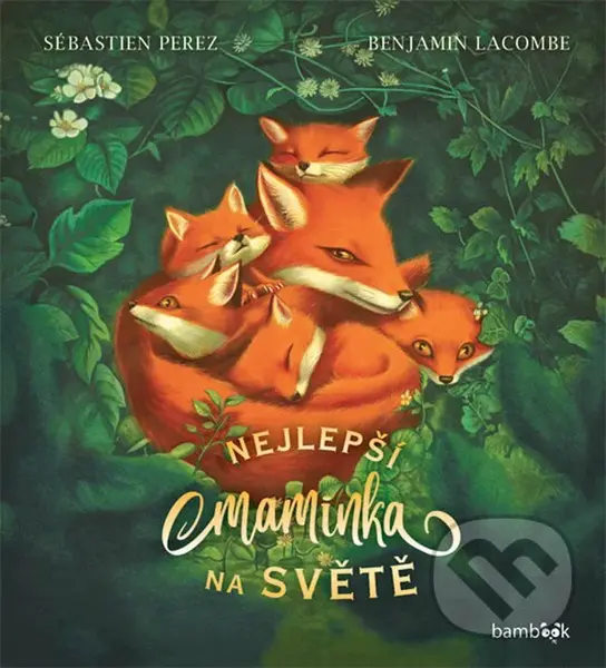 Nejlepší maminka na světě - Sébastien Perez, Benjamin Lacombe