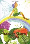 Keď zaklope dúha - Kaya Turner - kniha z kategorie Pro děti